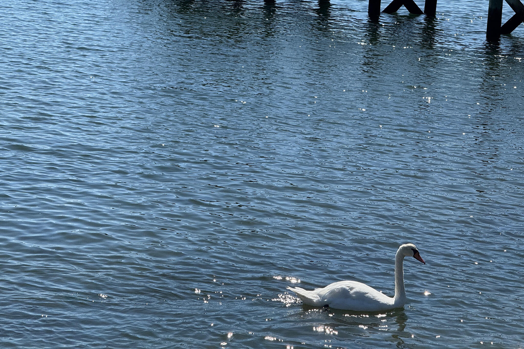 45 Seth Lane Yarmouth MA 02664