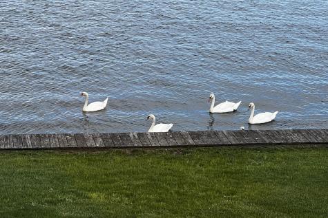 45 Seth Lane Yarmouth MA 02664