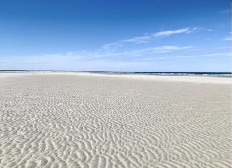 74 Robbins Circle Dennis MA 02638