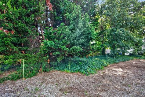 33 Gilbert Road Brewster MA 02631