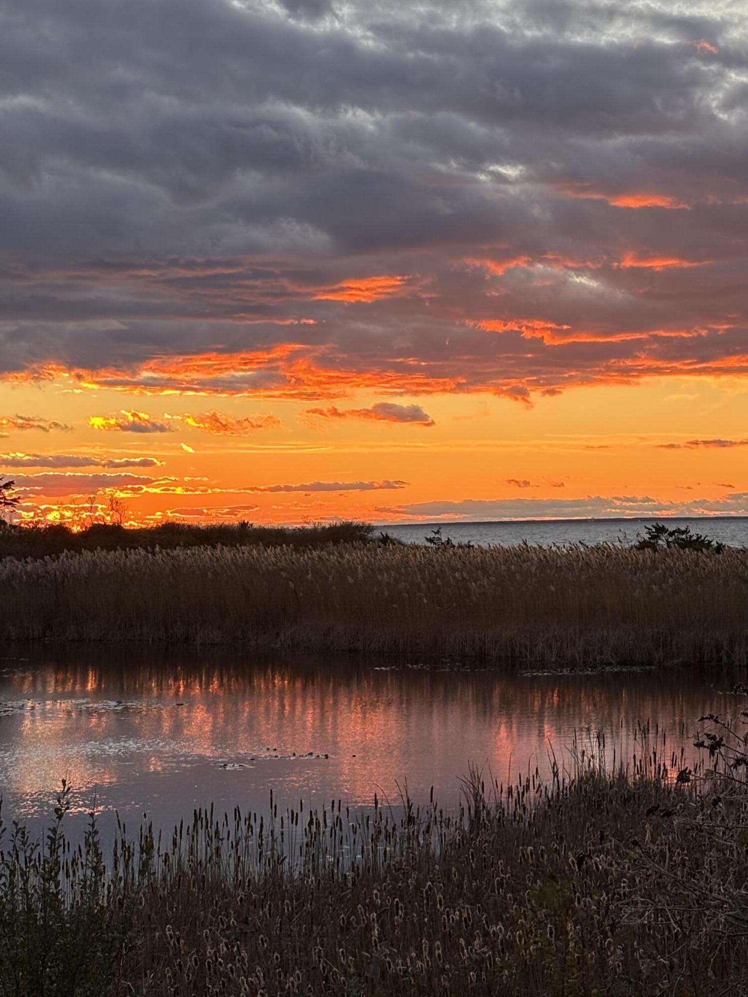 38 Nemasket Road Falmouth MA 02540