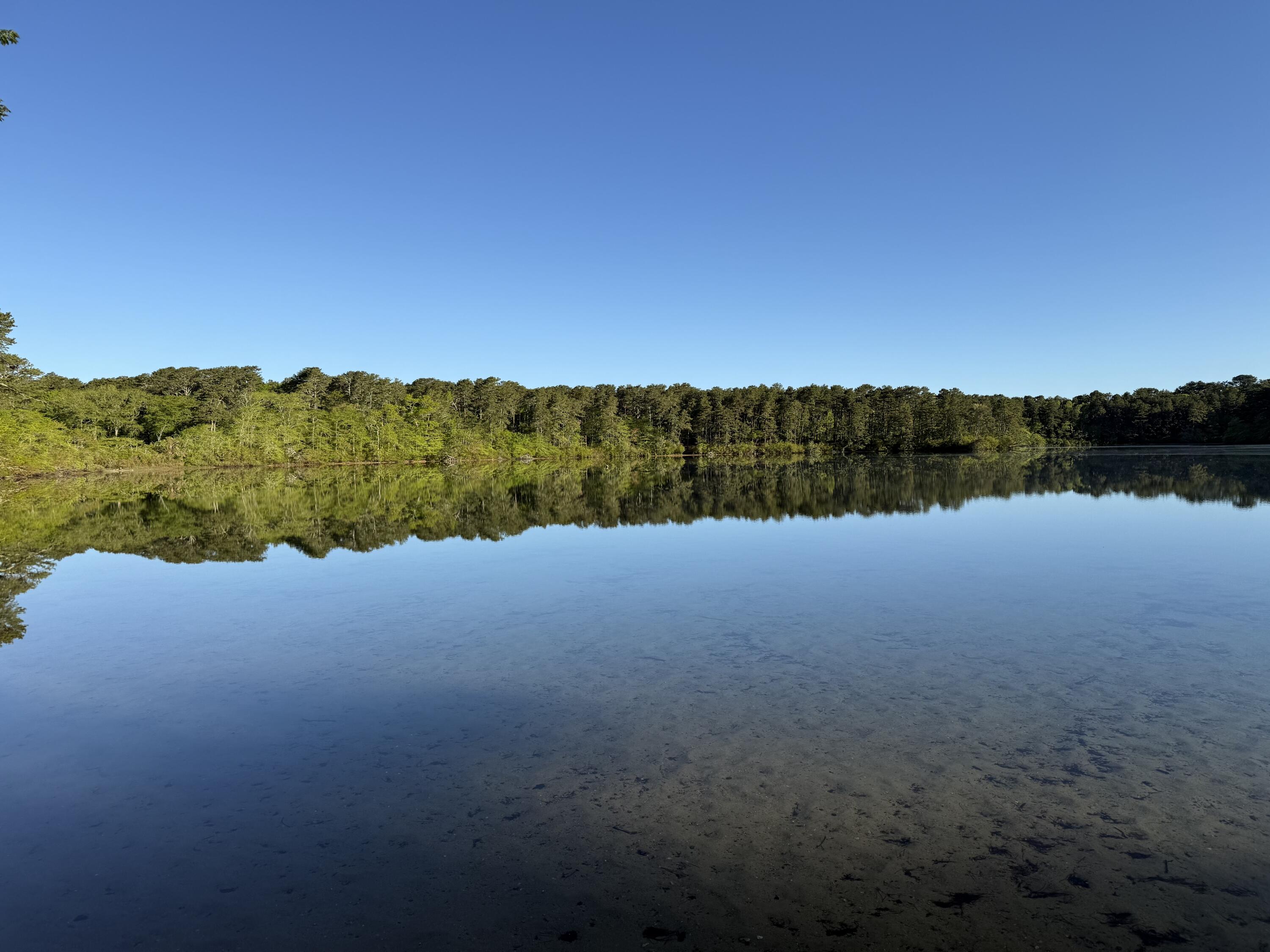 15 Quail Nest Run, Harwich MA — view 3