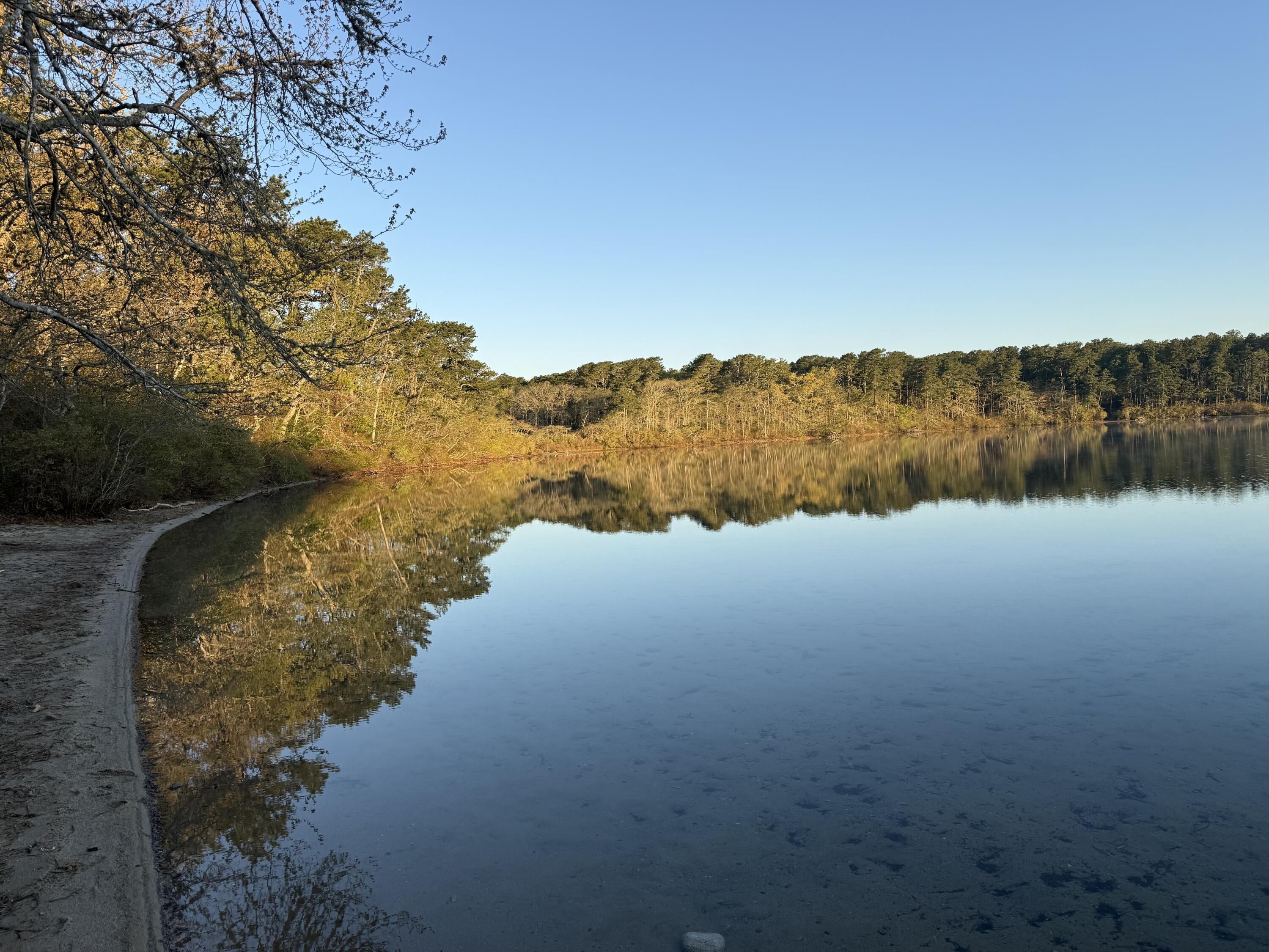 15 Quail Nest Run Harwich MA 02645