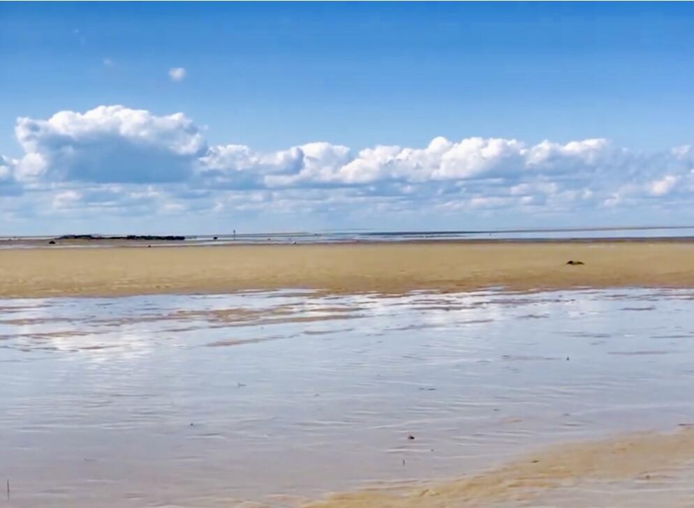 117 A P Newcomb Road Brewster MA 02631