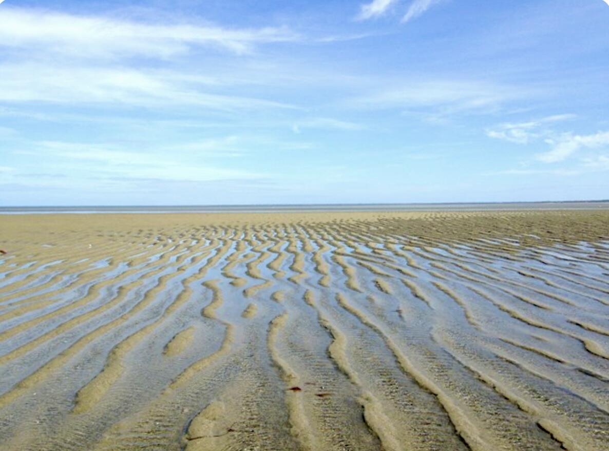 117 A P Newcomb Road Brewster MA 02631