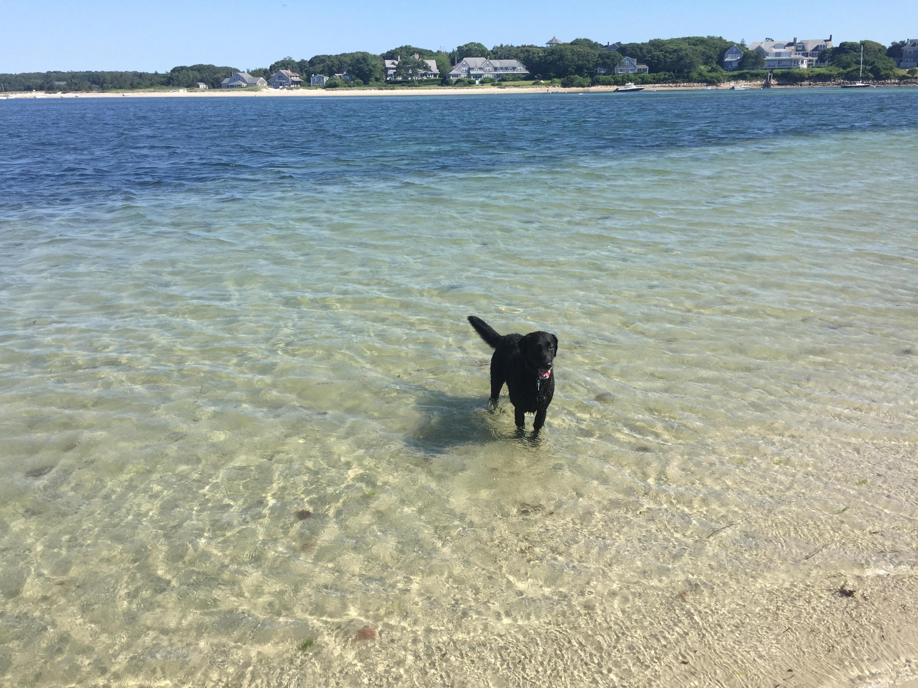 22 Acorn Drive Falmouth MA 02540