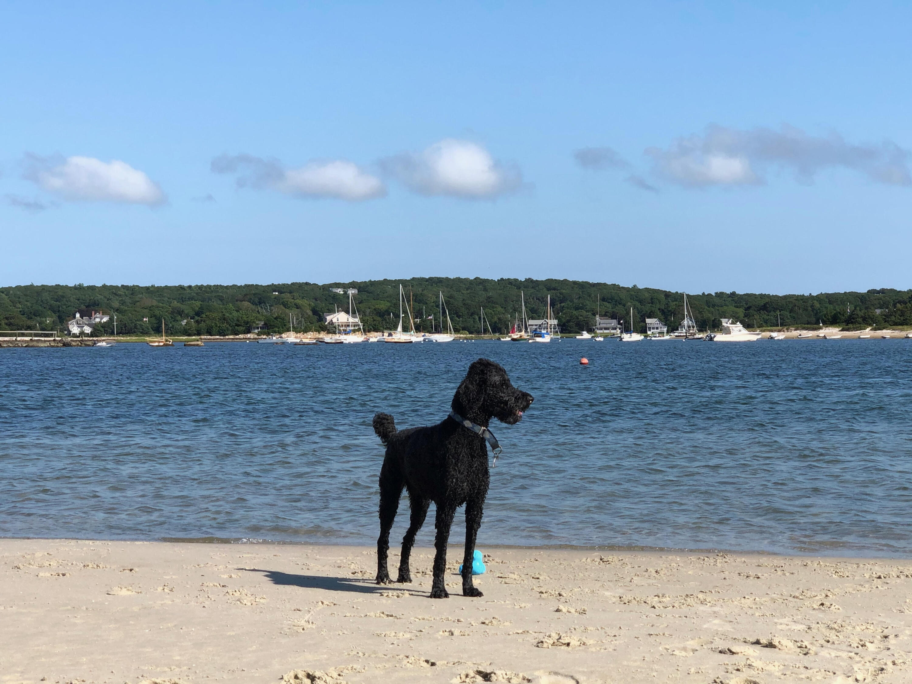 22 Acorn Drive Falmouth MA 02540