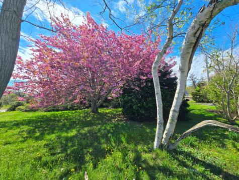 56 Locust Road Orleans MA 02653