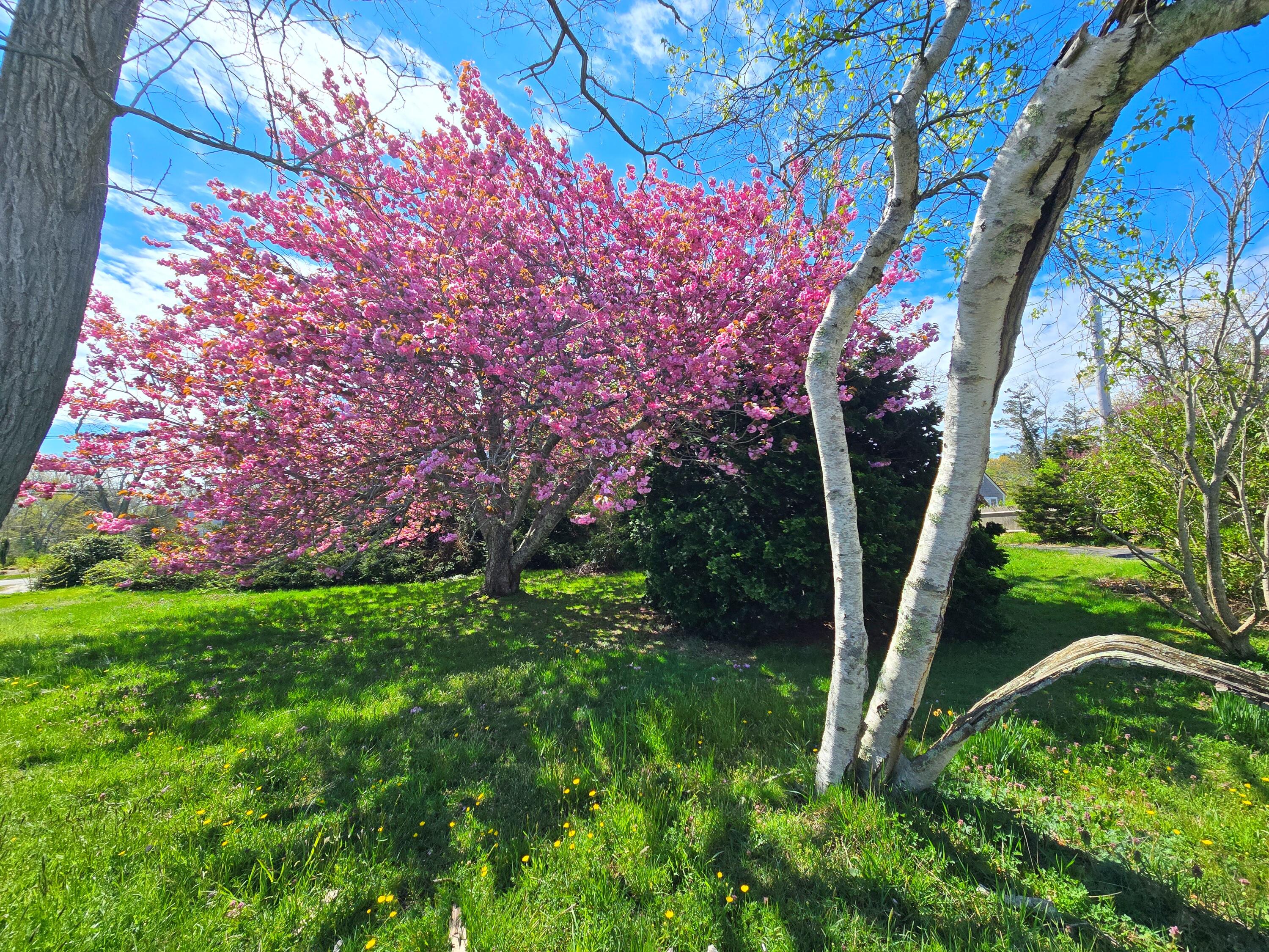 56 Locust Road Orleans MA 02653