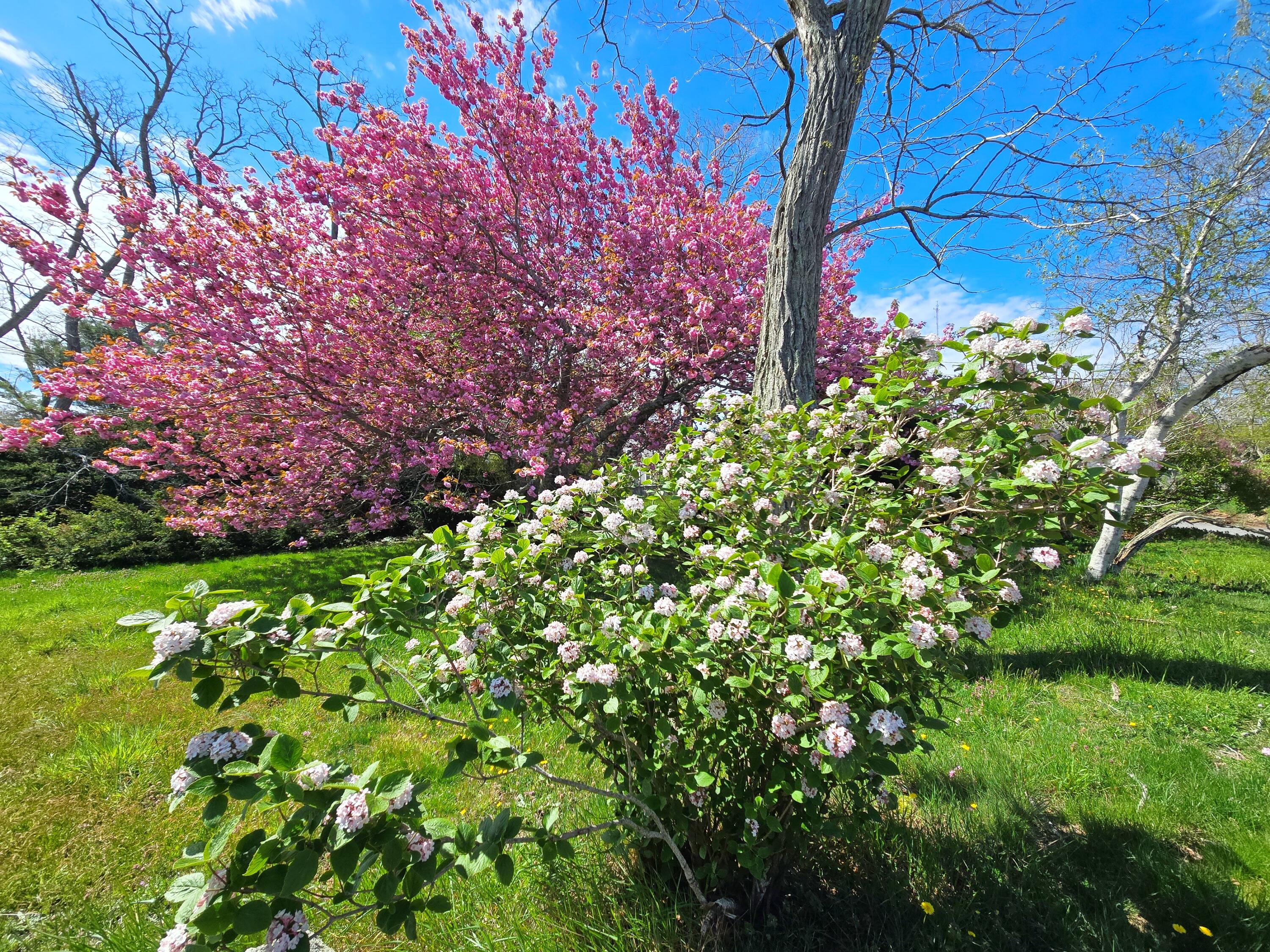 56 Locust Road Orleans MA 02653