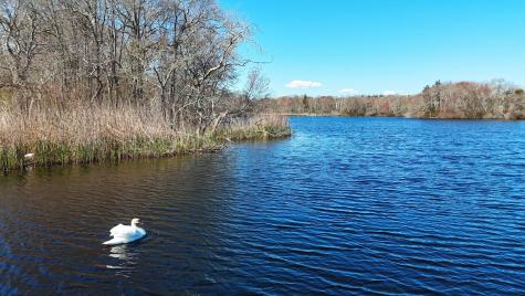 56 Locust Road Orleans MA 02653