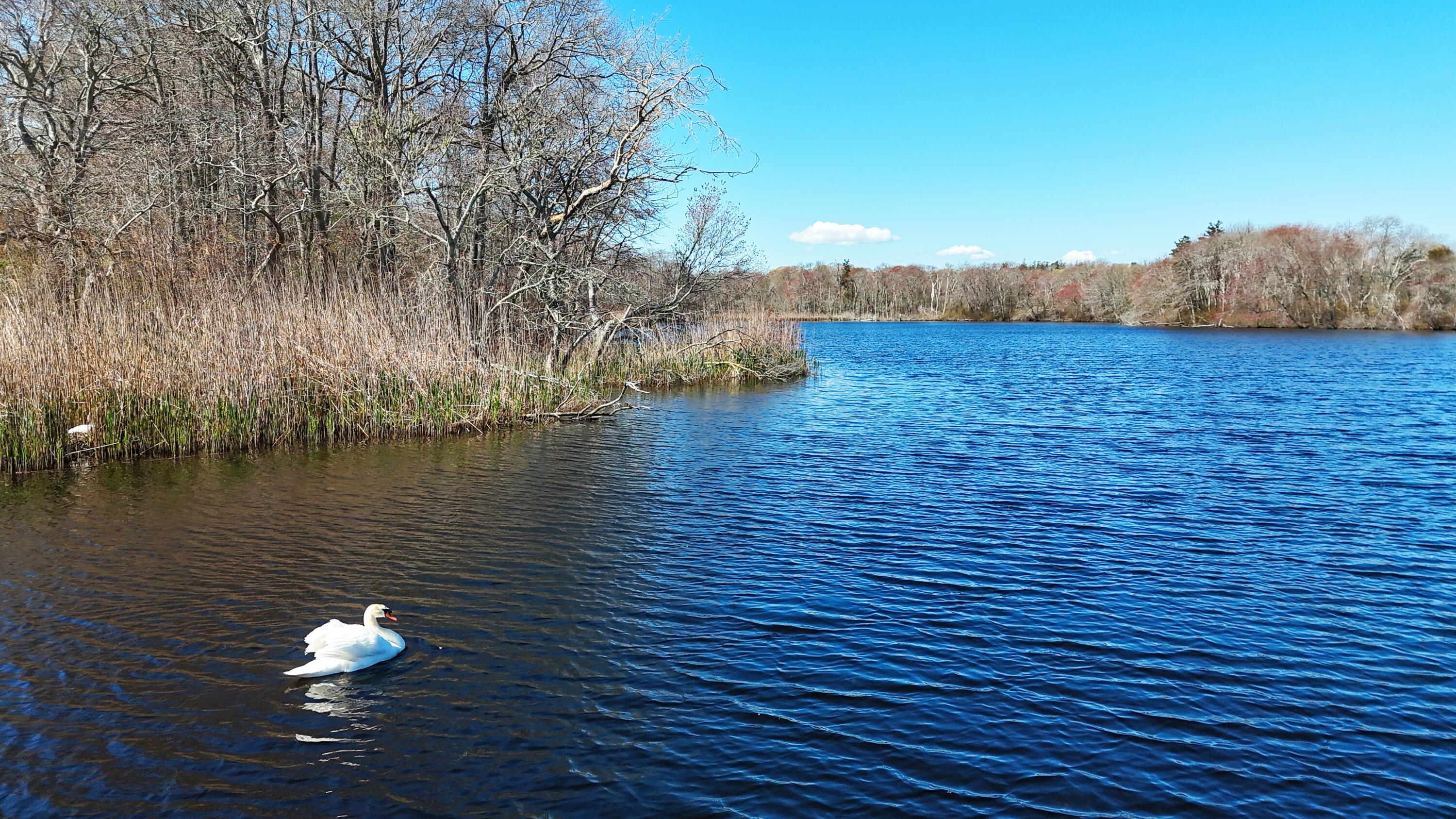 56 Locust Road Orleans MA 02653