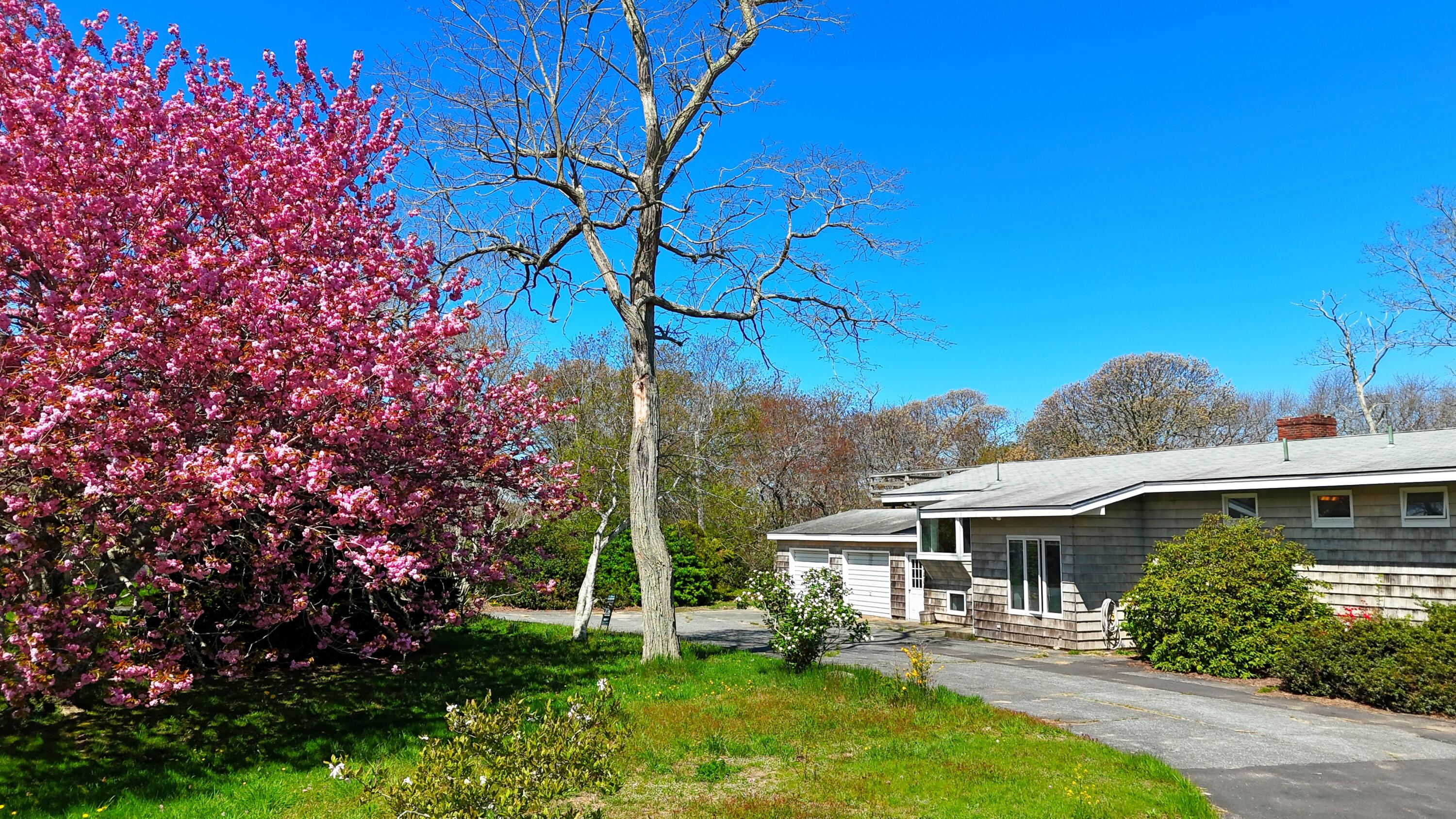 56 Locust Road Orleans MA 02653