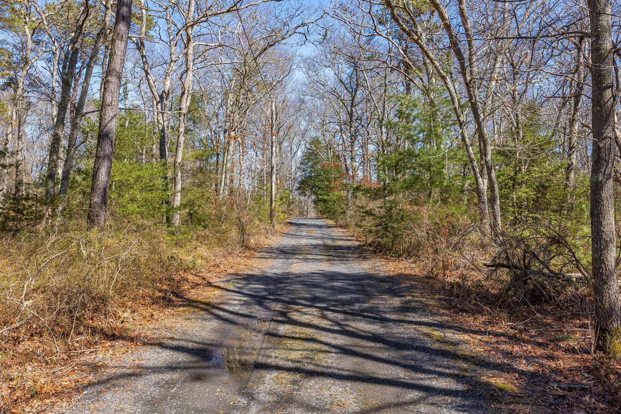 320 Long Pond Road Barnstable MA 02648