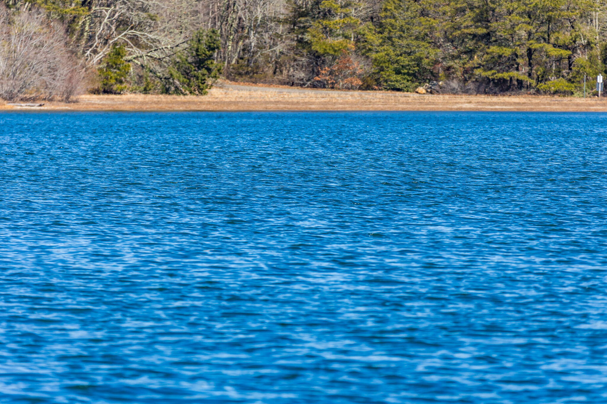 320 Long Pond Road Barnstable MA 02648