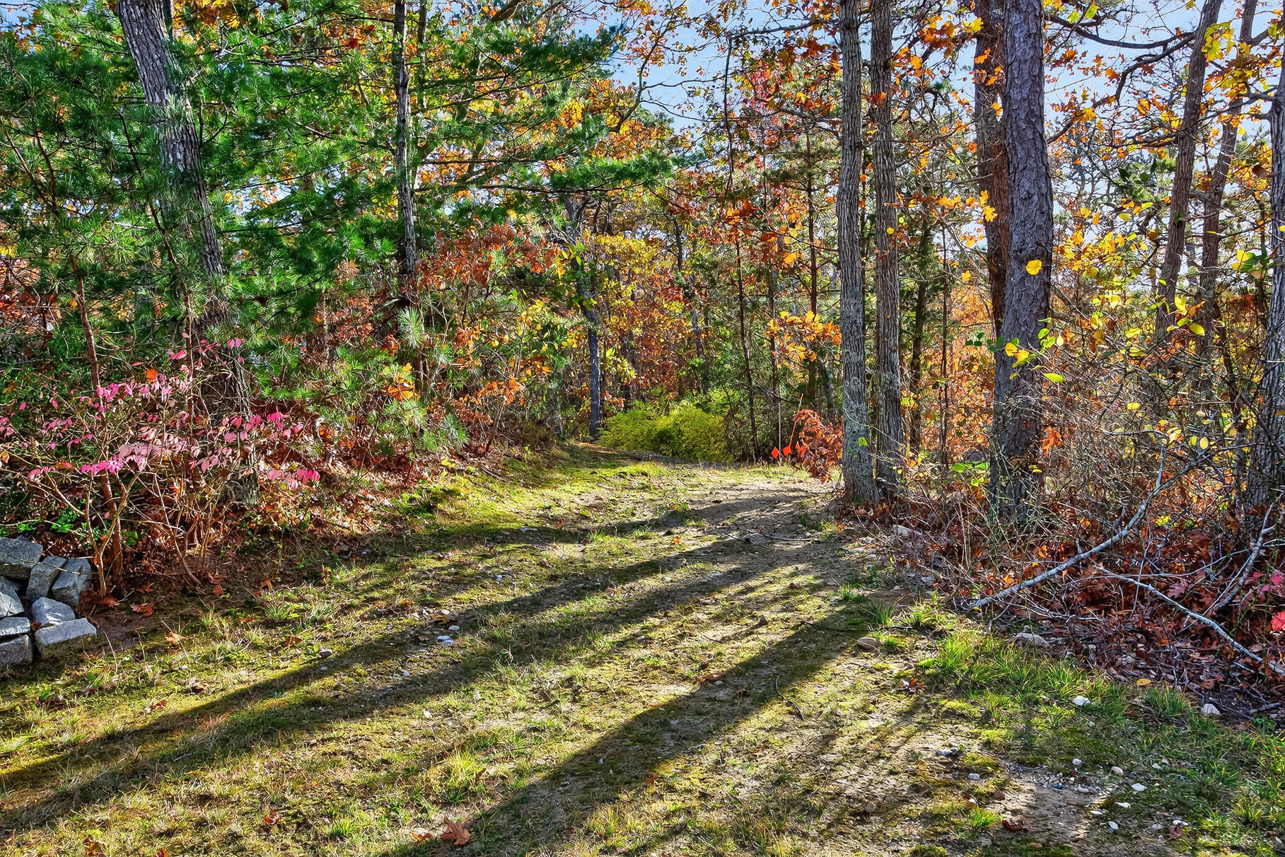 14 Village Drive Sandwich MA 02537