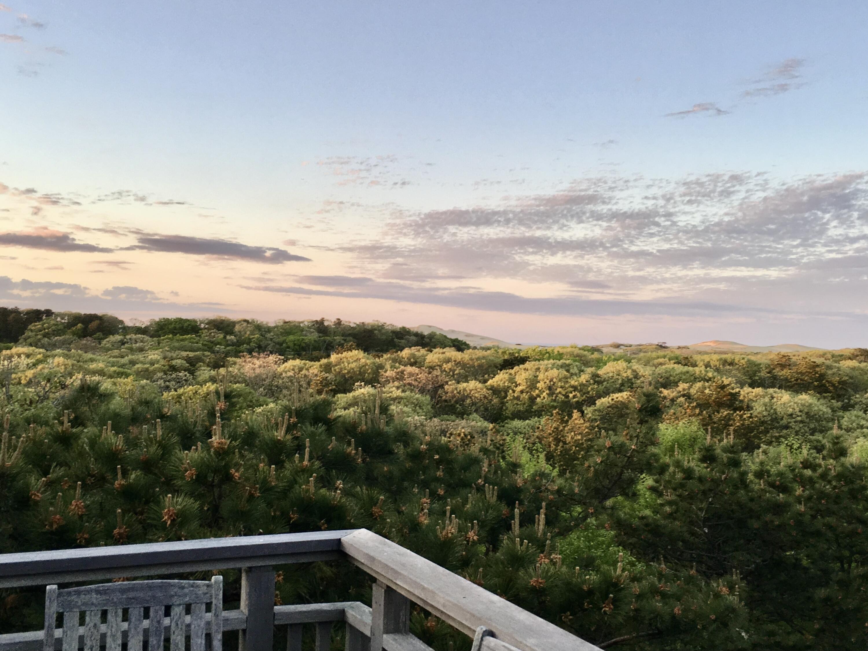 9 Thistlemore Road Provincetown MA 02657