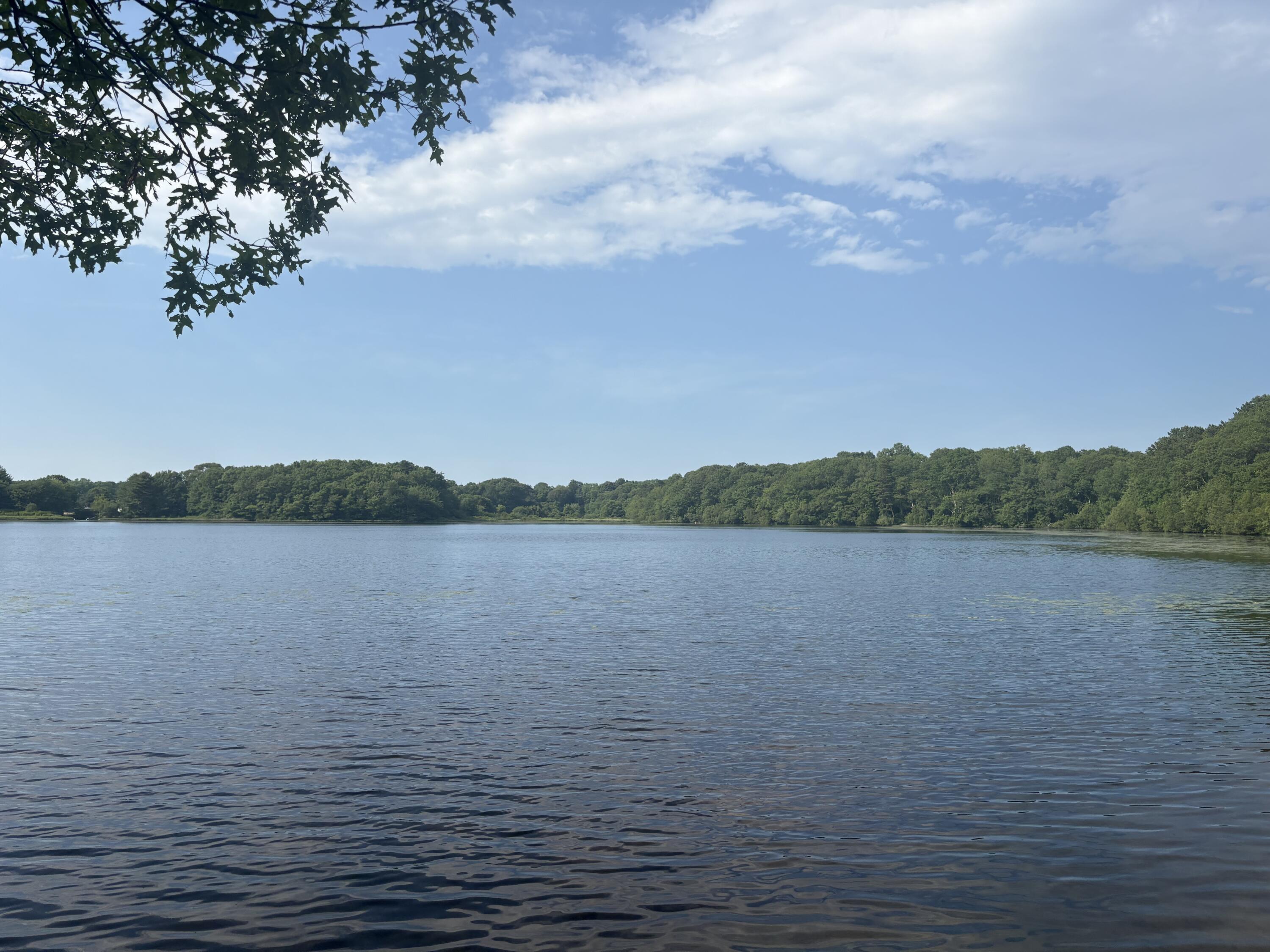 241 Olde Homestead Drive Barnstable MA 02648