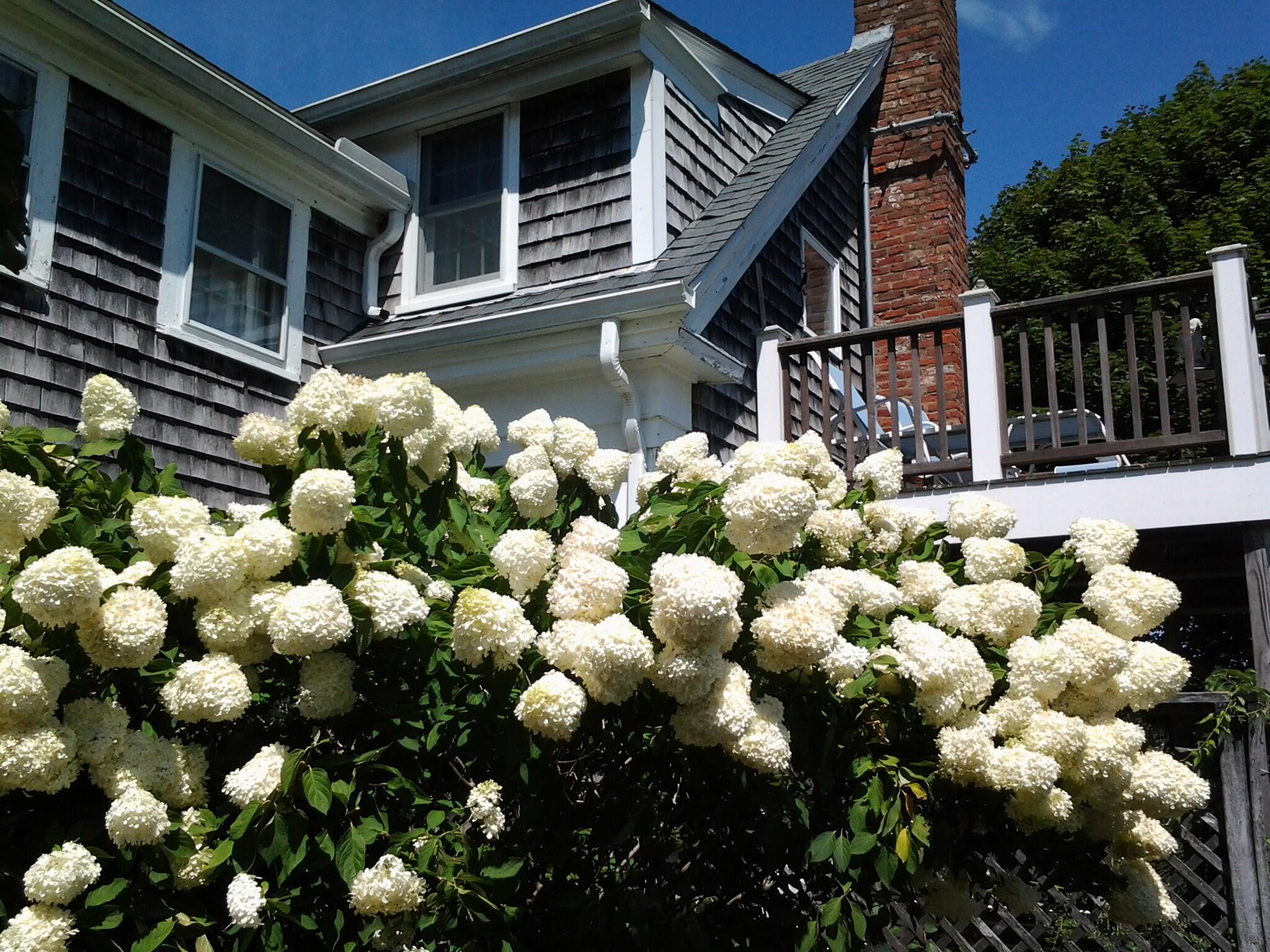 2485 Main Street South Chatham MA 02659