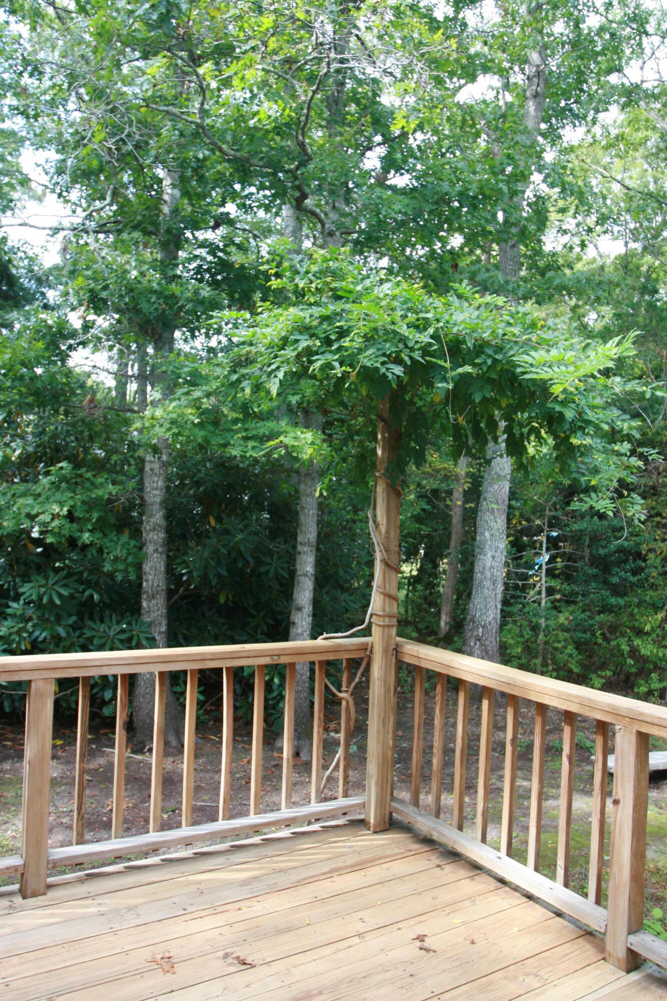 19 Oriole Lane Barnstable MA 02648