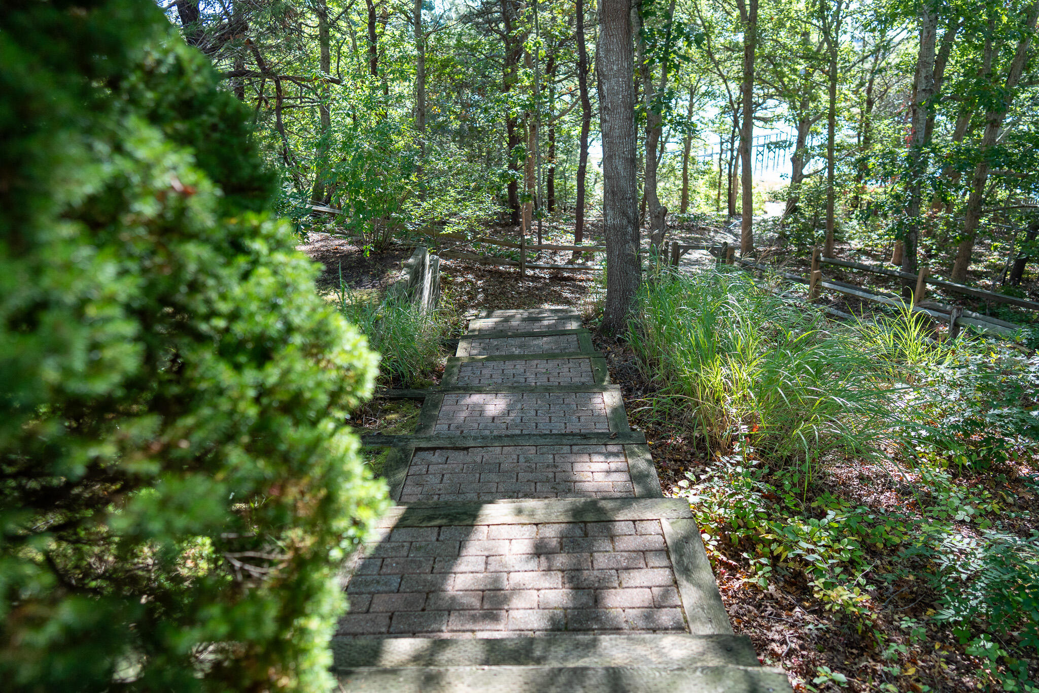 20 Kittiwake Lane Eastham MA 02642