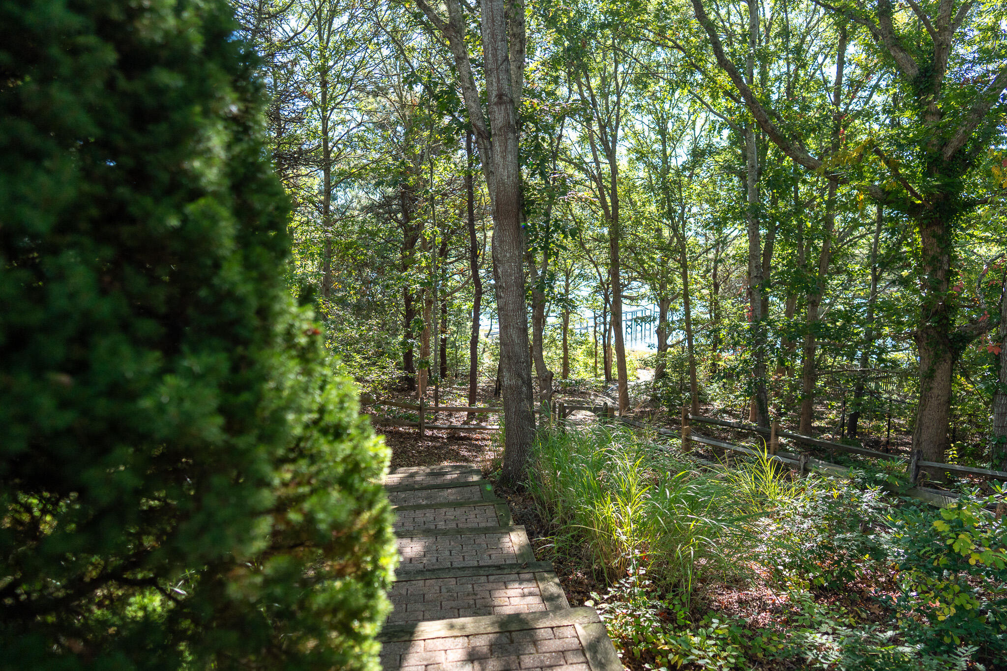 20 Kittiwake Lane Eastham MA 02642