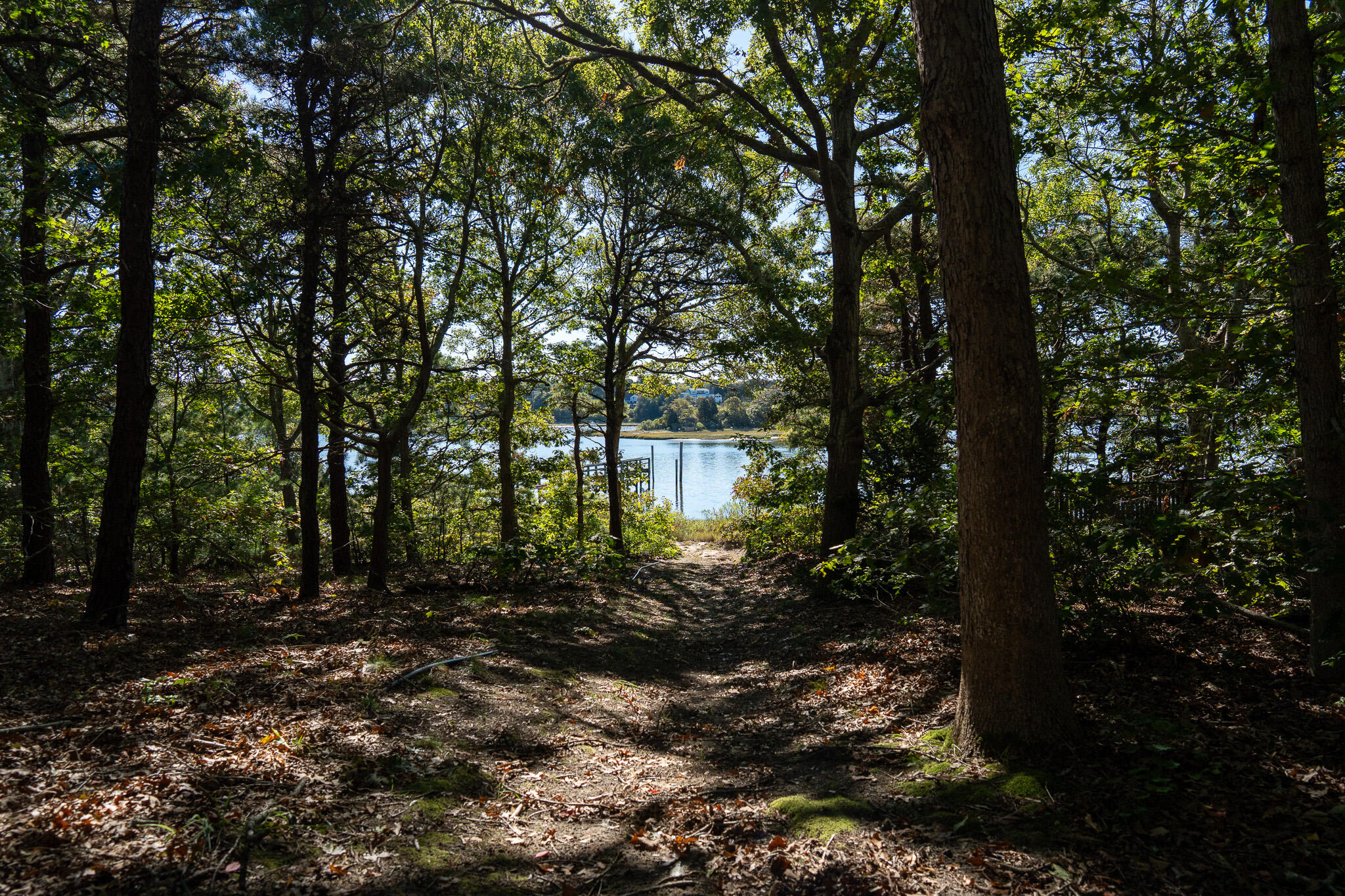 20 Kittiwake Lane Eastham MA 02642