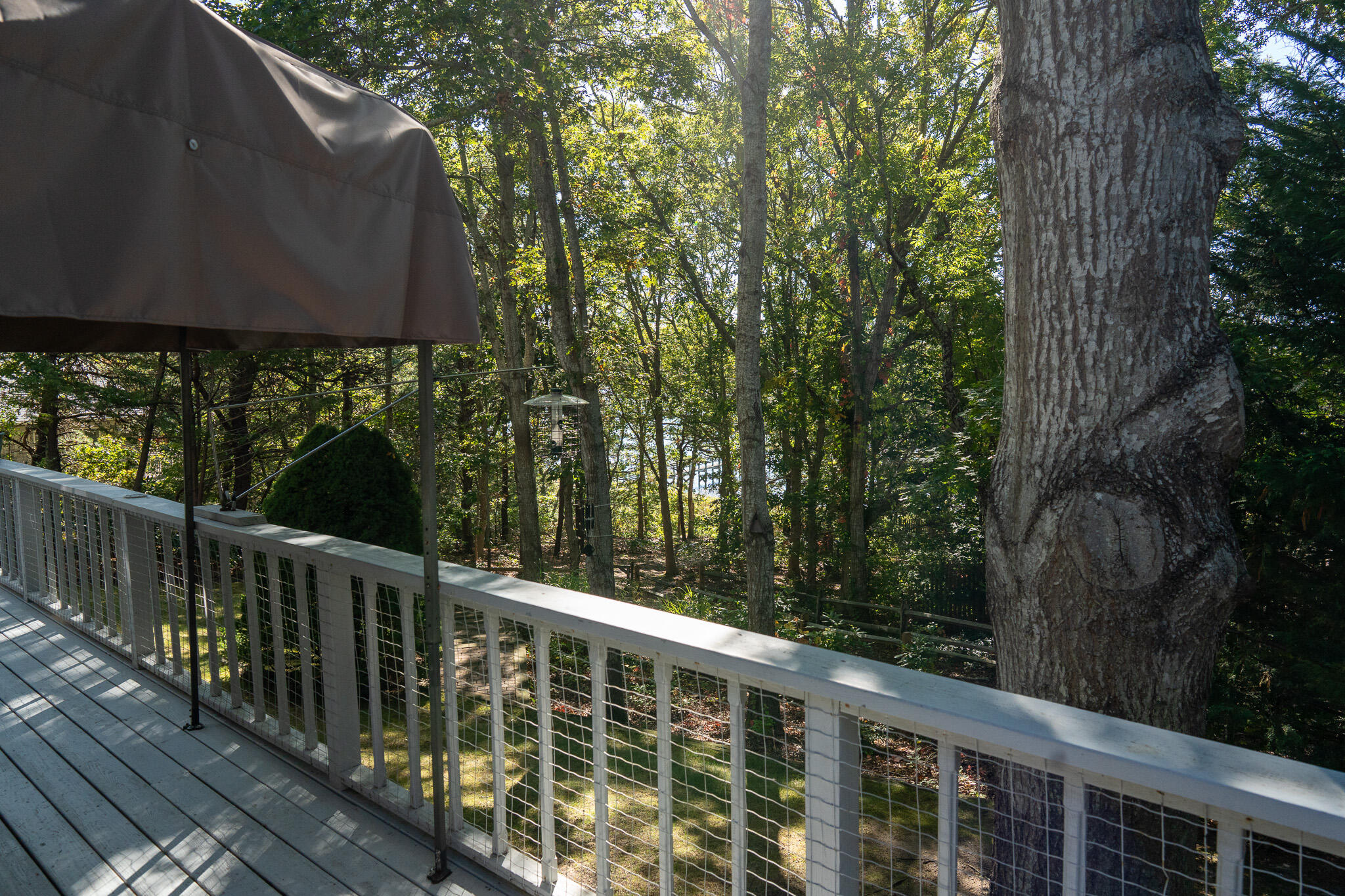 20 Kittiwake Lane Eastham MA 02642