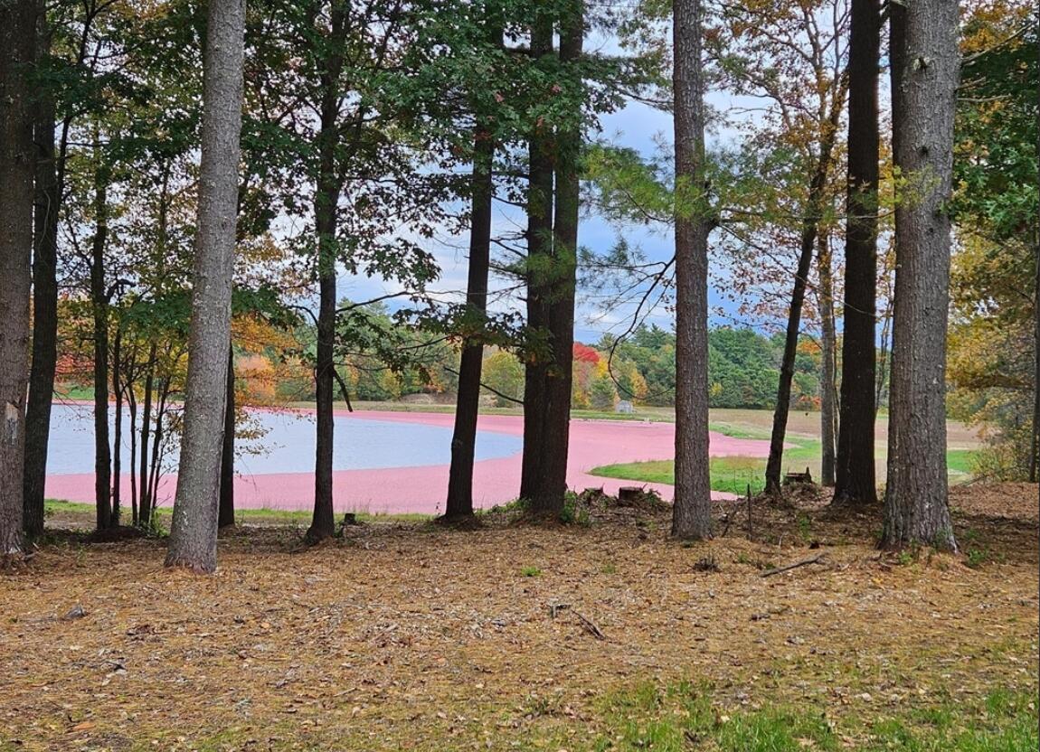 11 Fonseca Way Wareham MA 02576