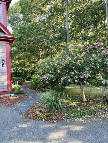 9 Horseshoe Bend Way Mashpee MA 02649