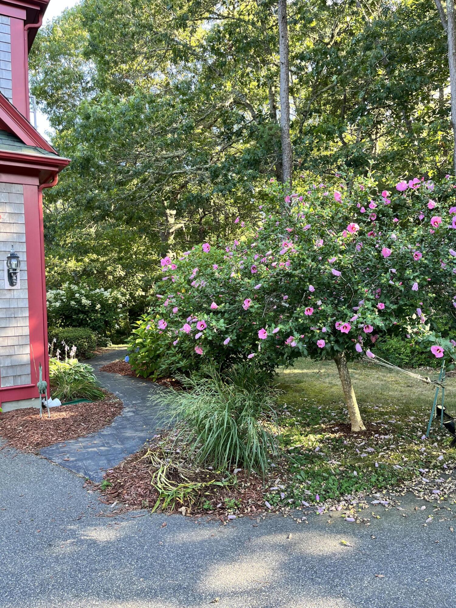 9 Horseshoe Bend Way Mashpee MA 02649