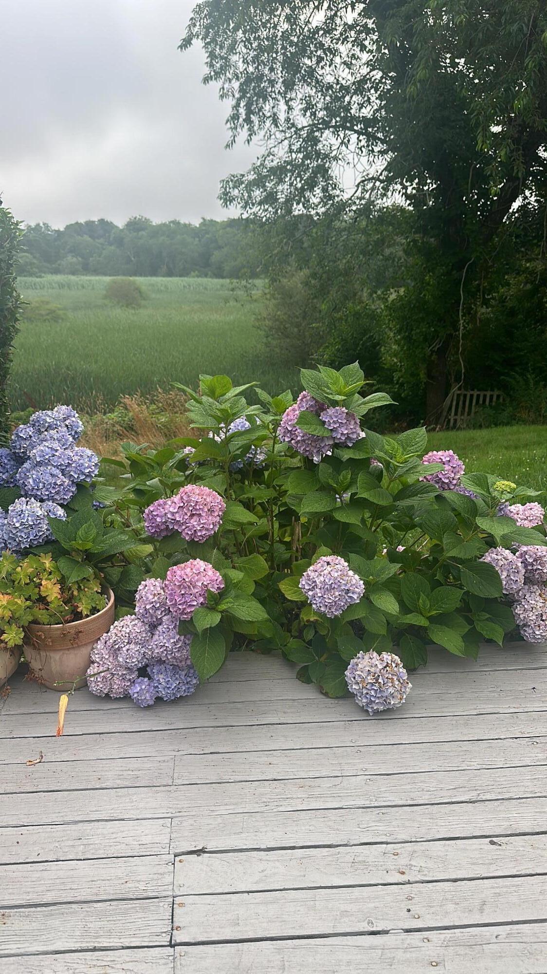 138 Chase Street Barnstable MA 02601