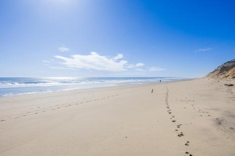 175 Cliff Road Wellfleet MA 02667