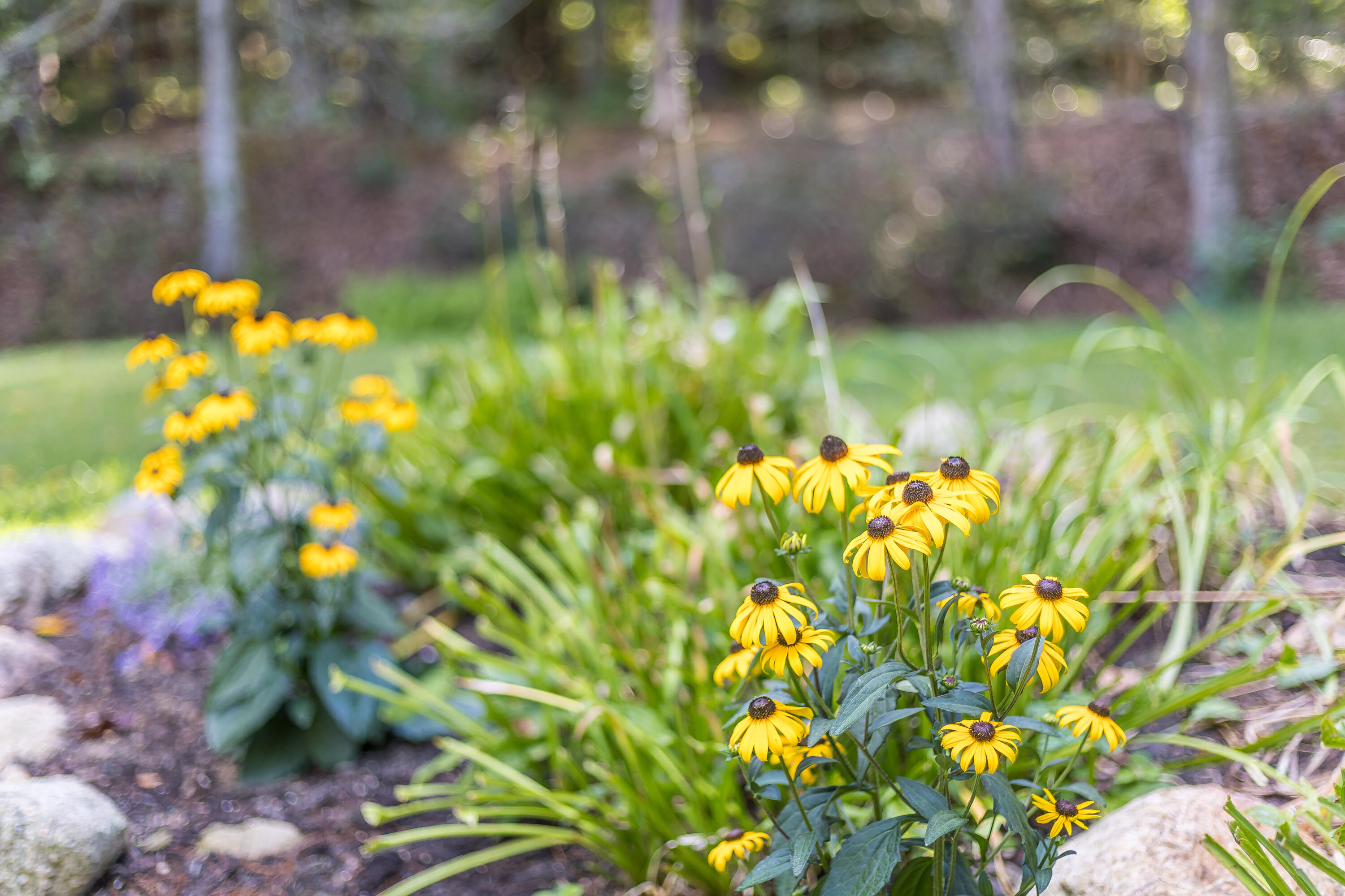 39A Shawme Road Sandwich MA 02563