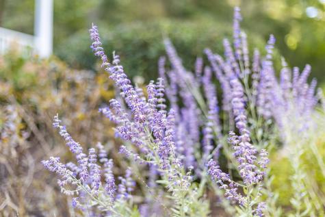 39A Shawme Road Sandwich MA 02563