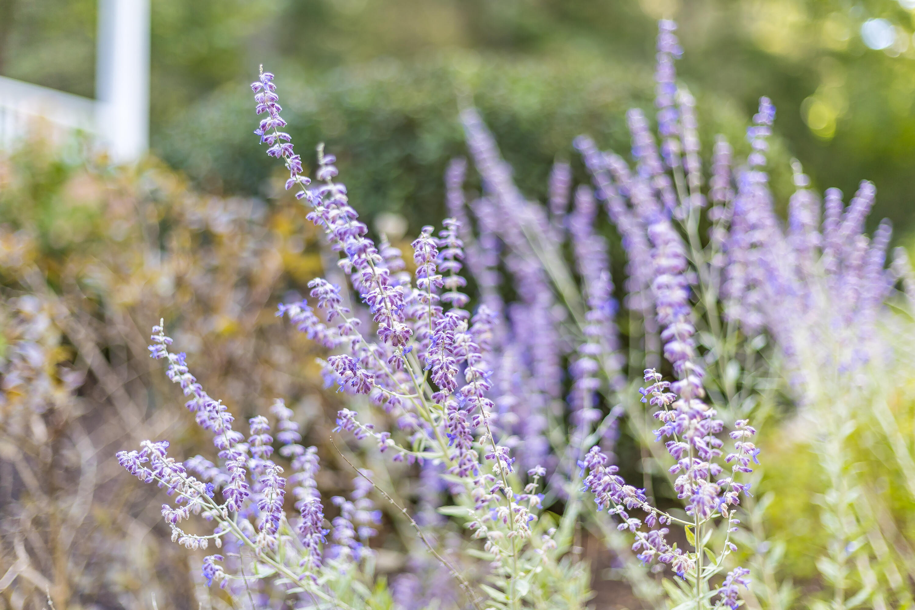 39A Shawme Road Sandwich MA 02563