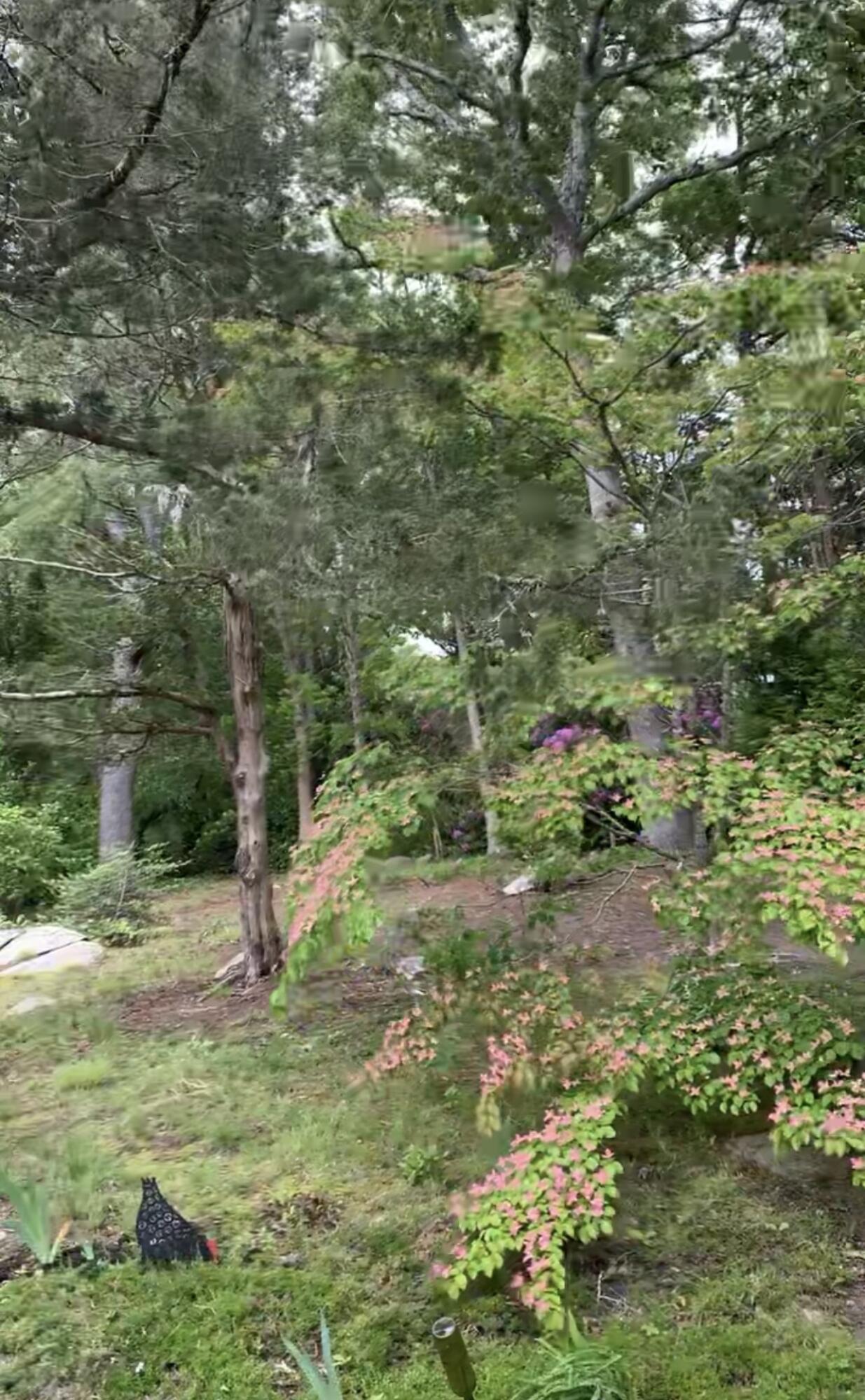 7 Pilgrim Path Falmouth MA 02540