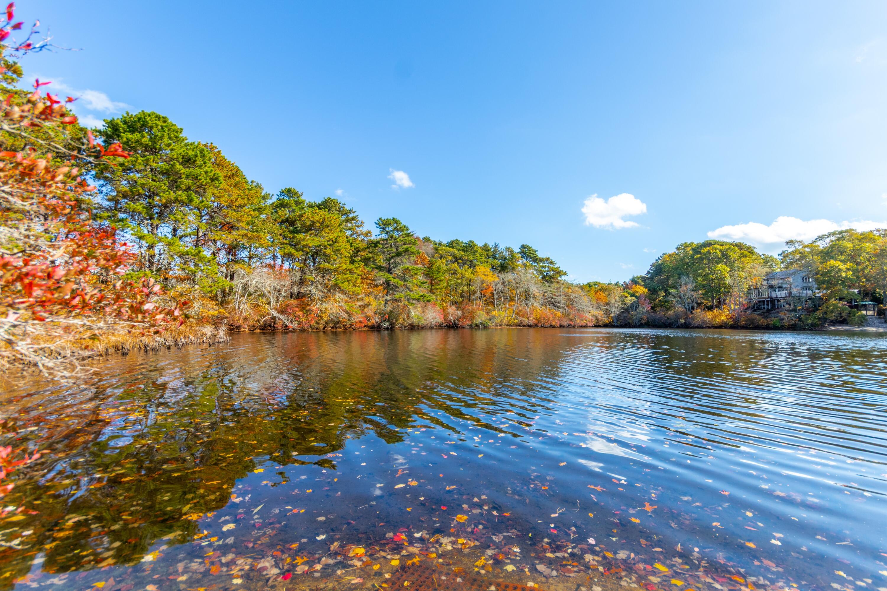 42 Fells Pond Road Mashpee MA 02649