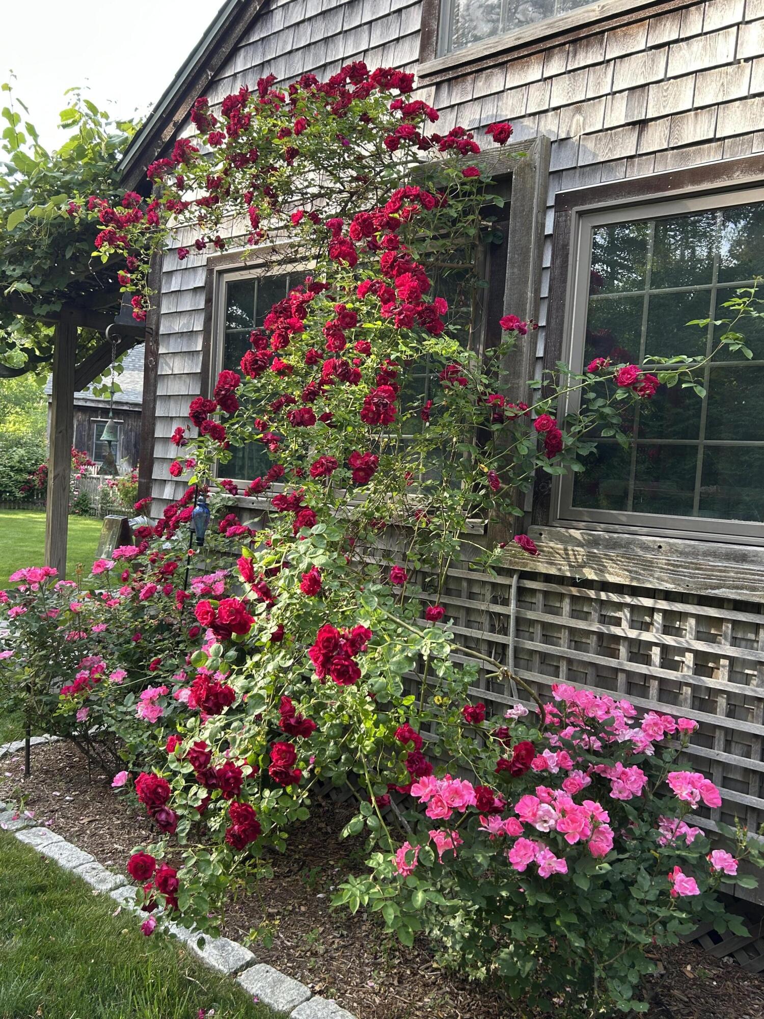 79 Old Freemans Way Brewster MA 02631