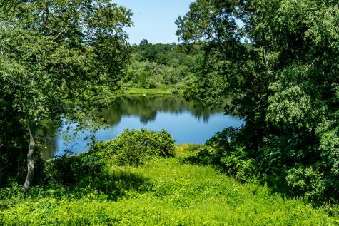 91 Acadia Drive Marstons Mills MA 02648