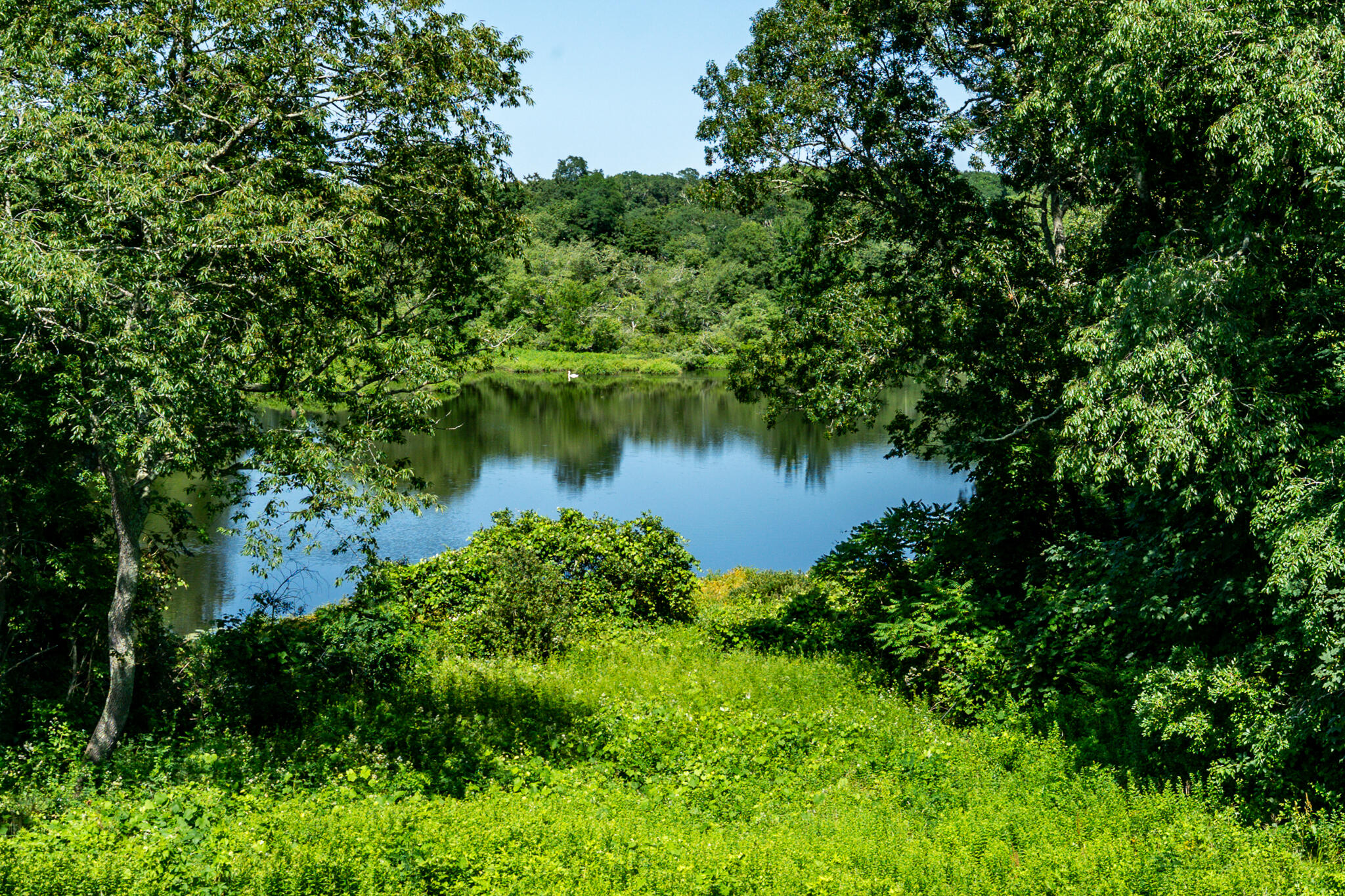 91 Acadia Drive Marstons Mills MA 02648