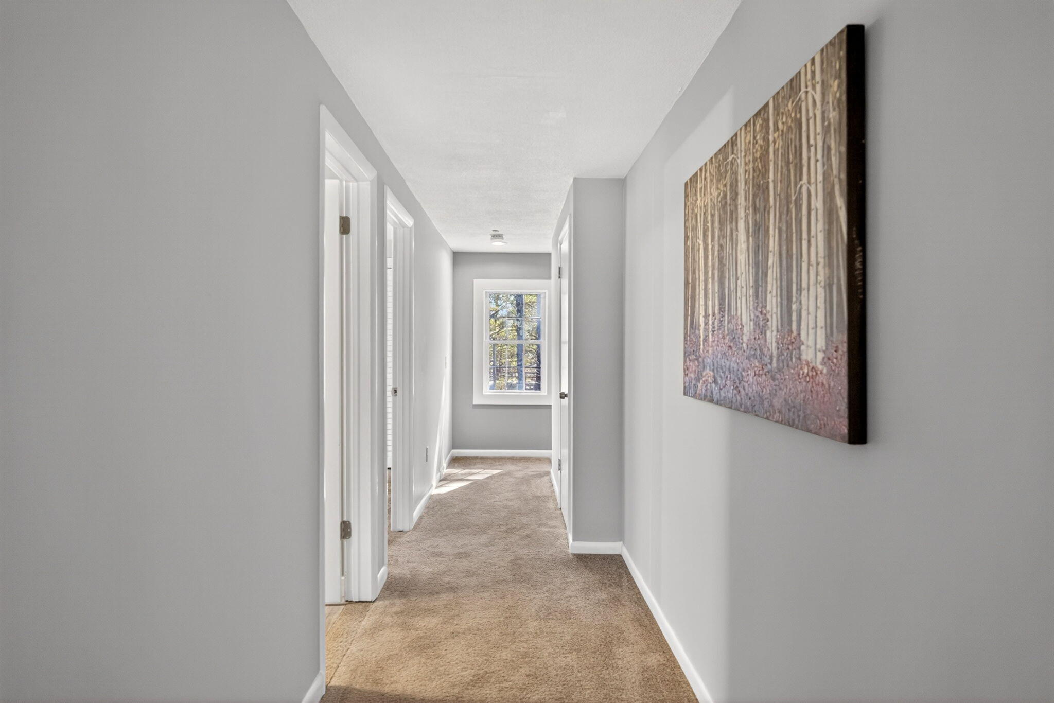 111 Spring Brook Road Wellfleet MA 02667