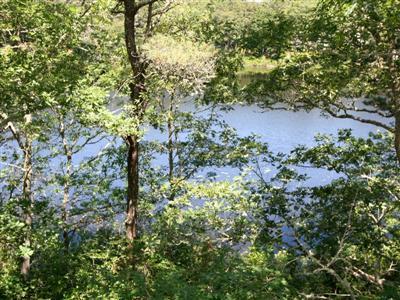 18 Towhee Lane Orleans MA 02662
