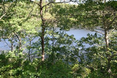 18 Towhee Lane Orleans MA 02662