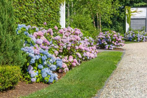 2400 Meetinghouse Way Barnstable MA 02668