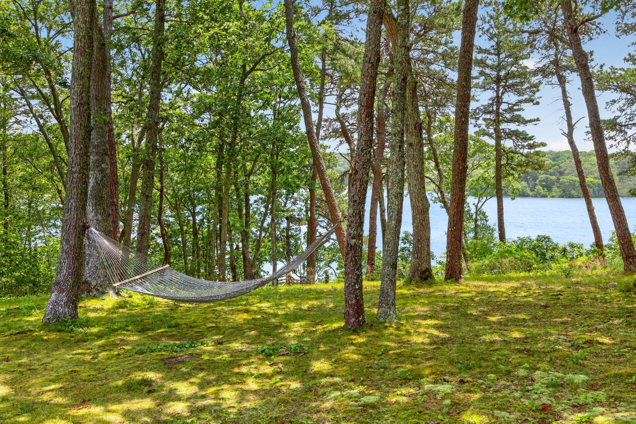 674 Crowells Bog Road Brewster MA 02631