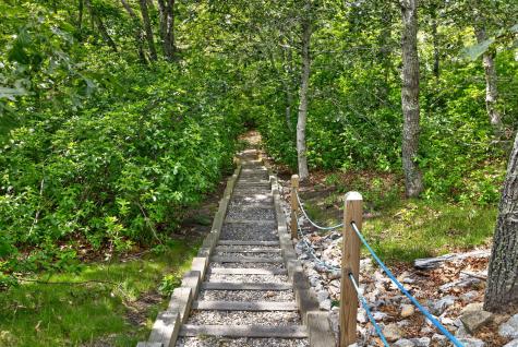 674 Crowells Bog Road Brewster MA 02631