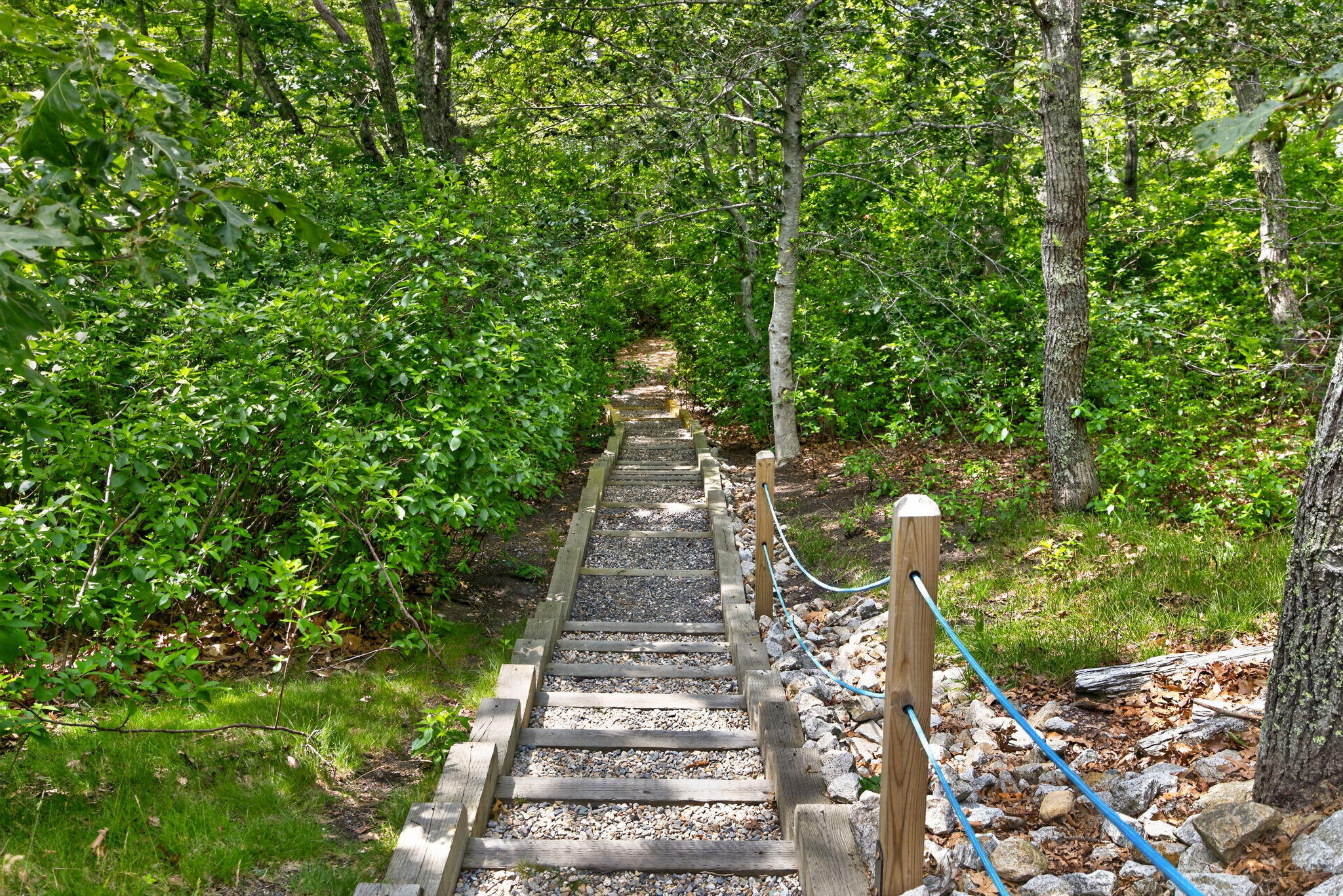 674 Crowells Bog Road Brewster MA 02631