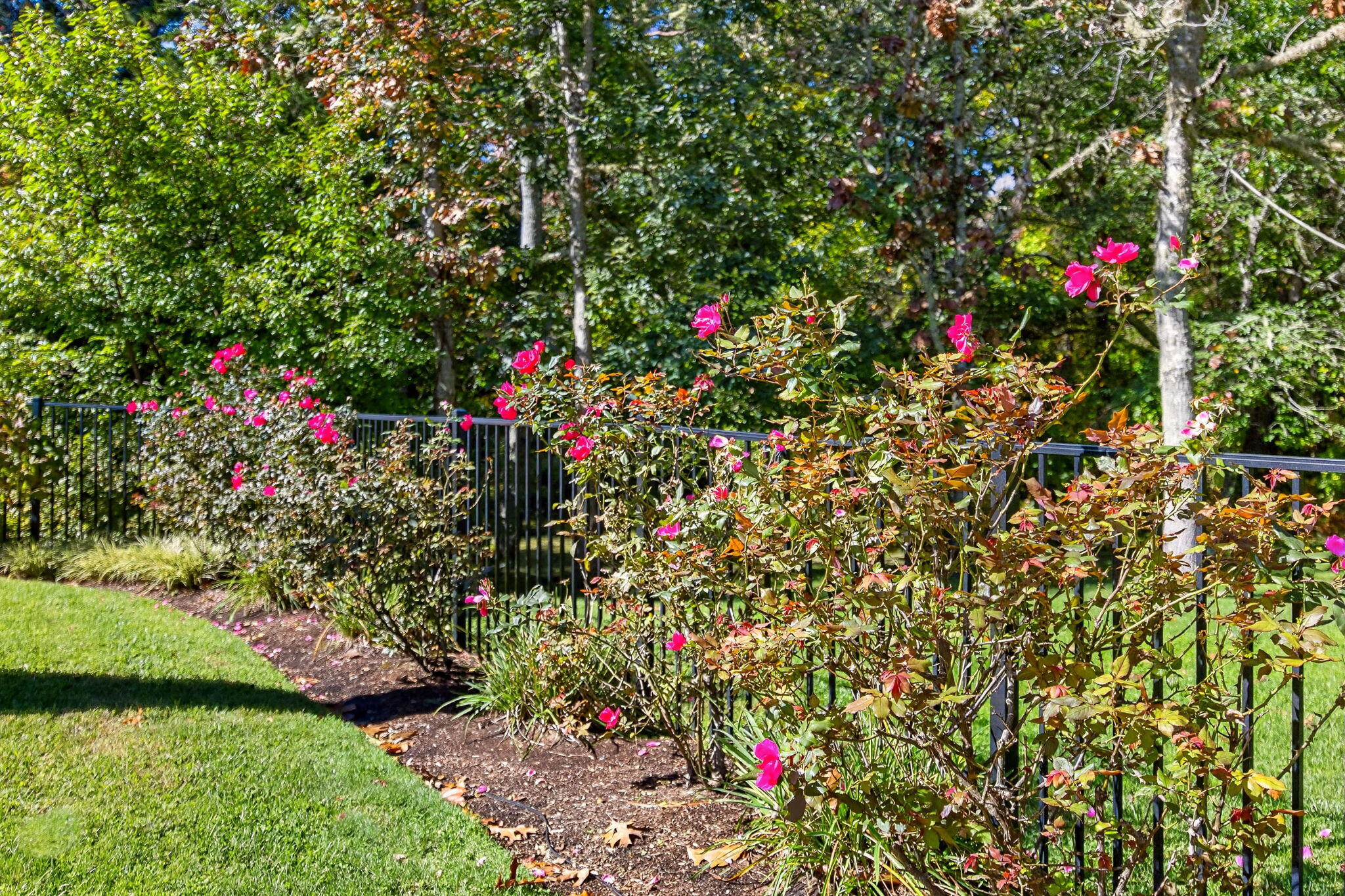 30 Chestnut Drive Orleans MA 02653