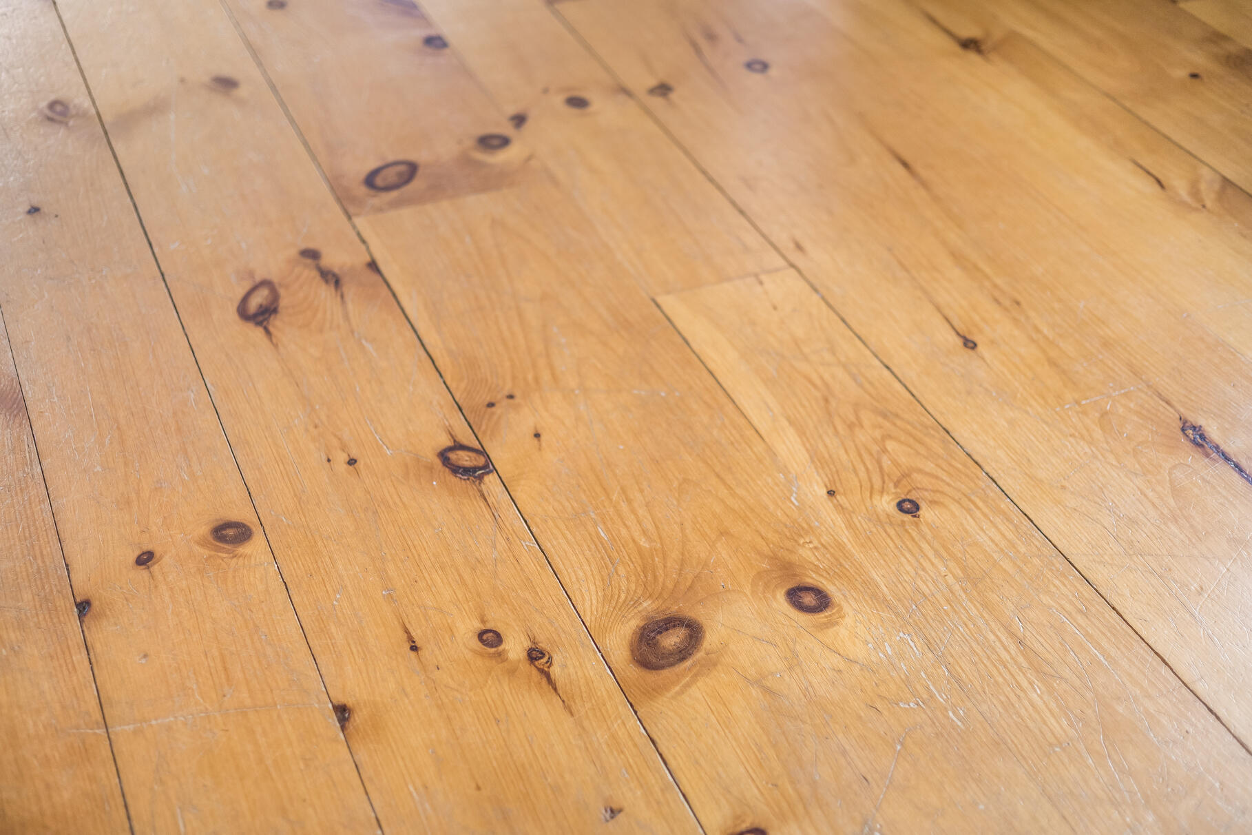 345 Cove Road Wellfleet MA 02667